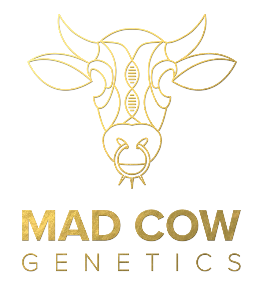 Mad Cow Genetics